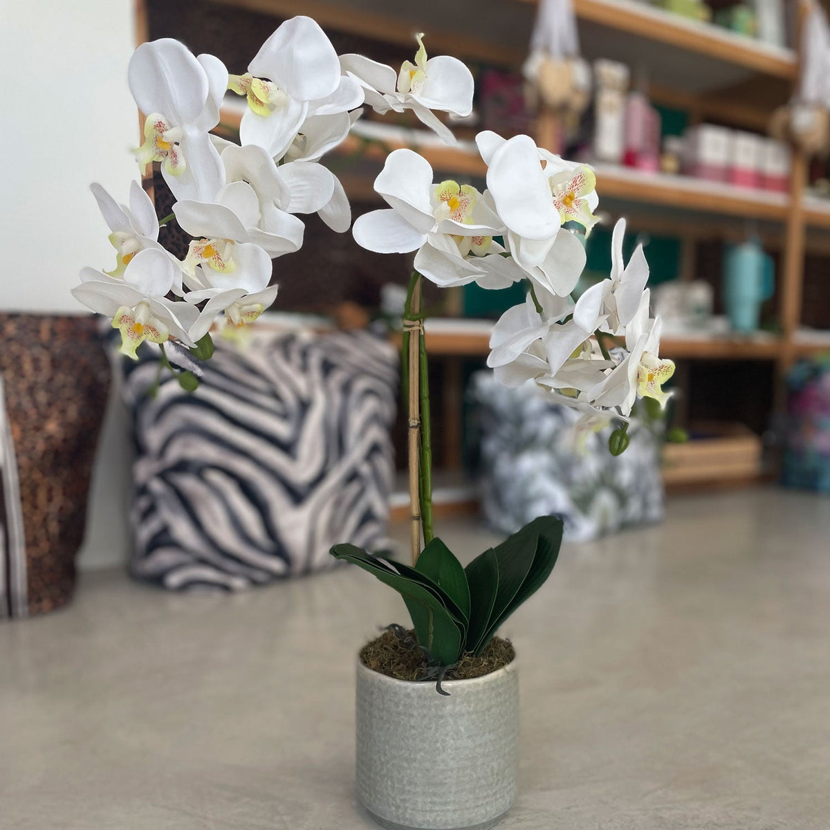 Silk Phalaenopsis Orchid – WHITE