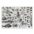 Disposable Placemats – Seafood Illustations