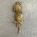 Wall Hooks| Golden Parrot