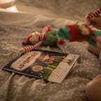 Elf Storybook – Elf's First Adventure – view 5