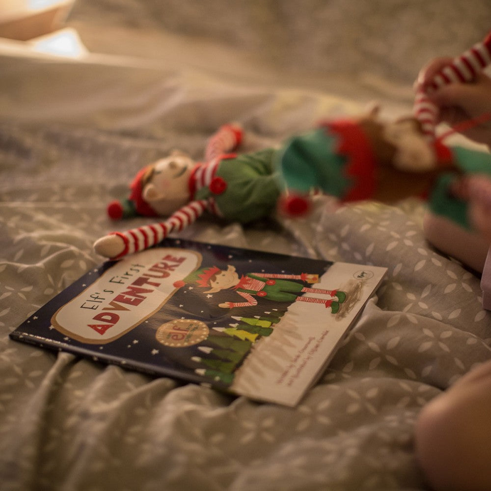 Elf Storybook – Elf's First Adventure – view 5