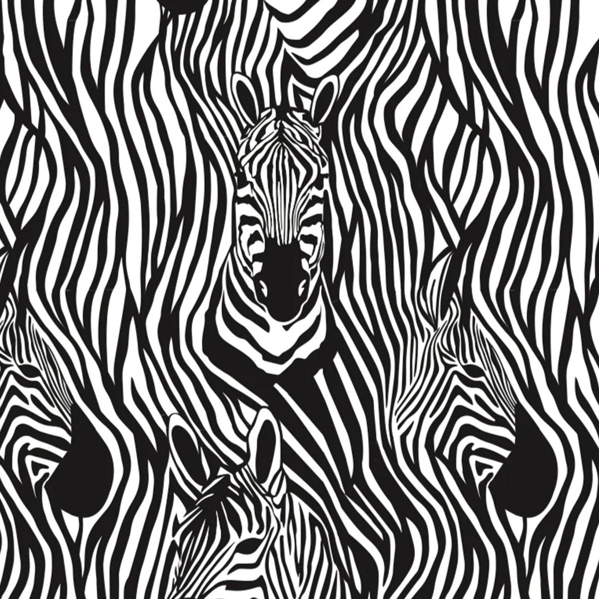 MENS KECKS – Zebra – view 4