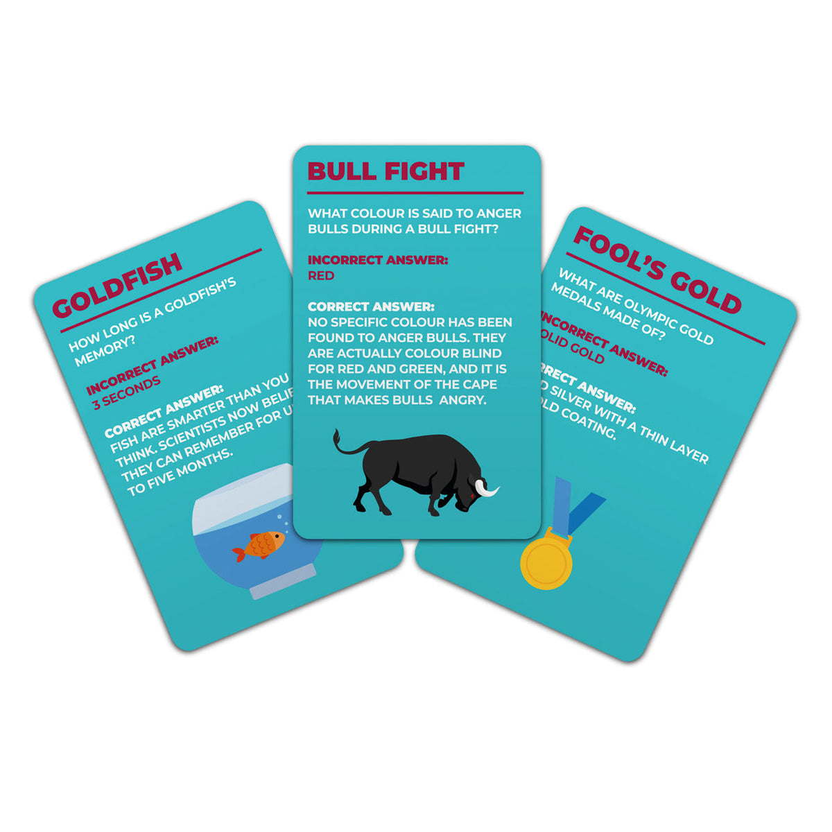 FLASHCARDS – 100 Things You Thought You Knew – view 2