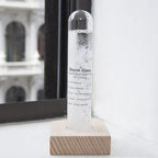 Storm Glass Barometer
