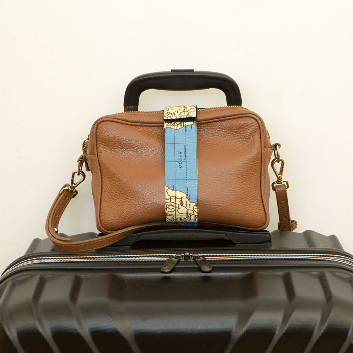 Tag Along Bag Strap