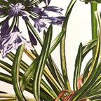 24 Placemats – Agapanthus – Round – view 4