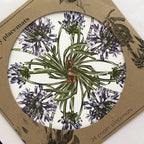 24 Placemats – Agapanthus – Round – view 5