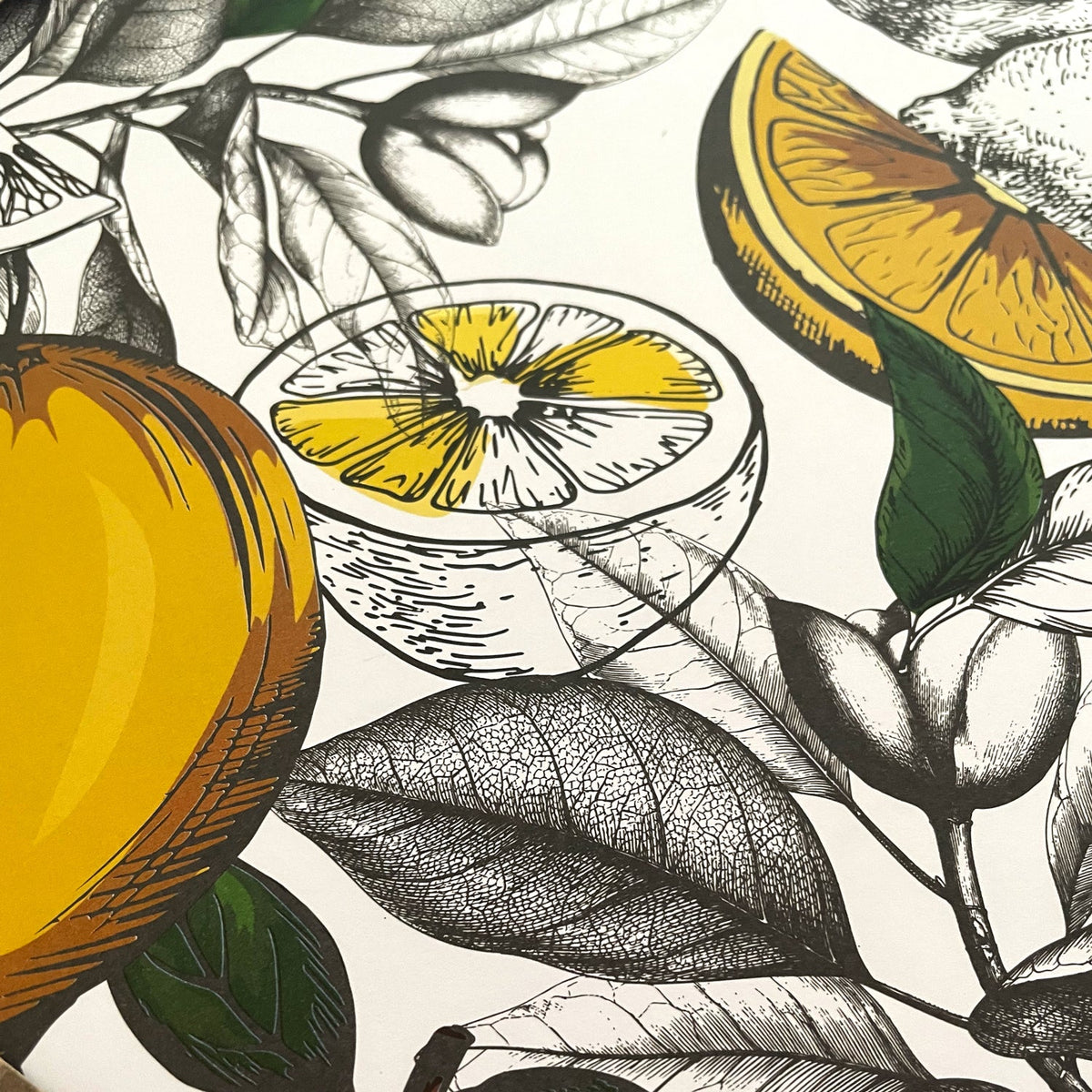 24 Placemats – Lemon – Round – view 6