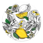 24 Placemats – Lemon – Round – view 5