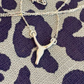 Springbok Necklace – Sterling Silver
