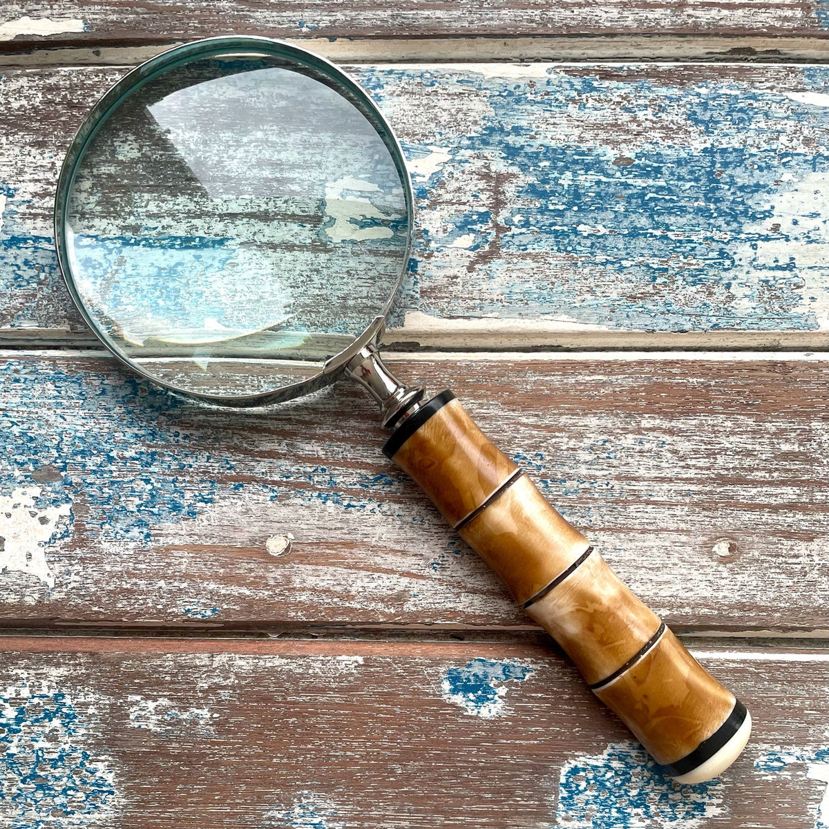 Magnifying Glass – Scalloped Bone – view 3