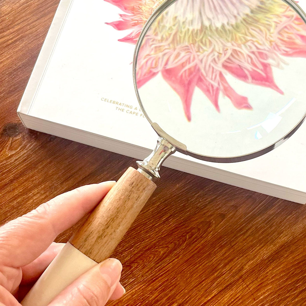 Magnifying Glass – Wood & Bone – view 4