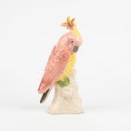 Polly the Parrot