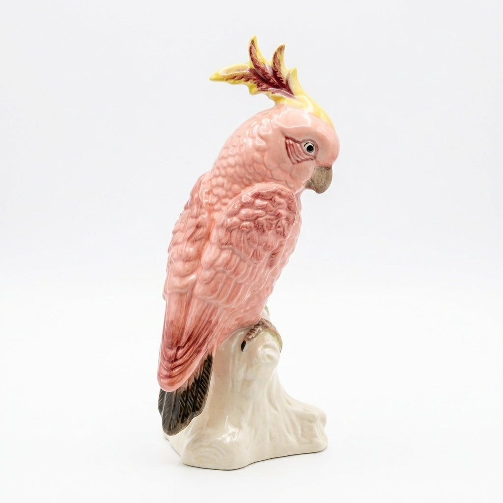 Polly the Parrot